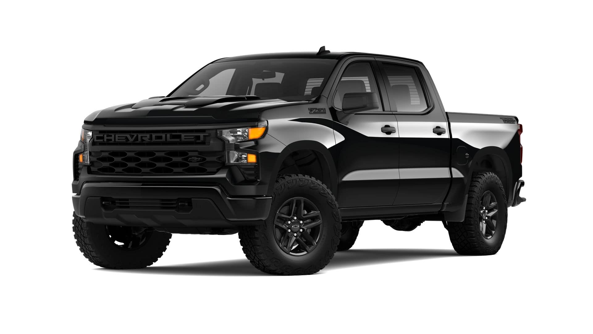 2025 Chevrolet Silverado 1500 Vehicle Photo in MARION, NC 28752-6372