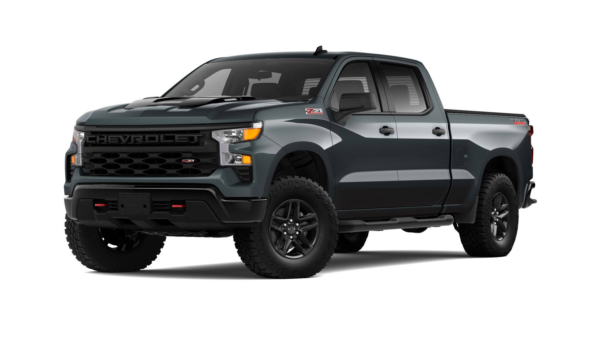 2025 Chevrolet Silverado 1500 Vehicle Photo in TIMONIUM, MD 21093-2300