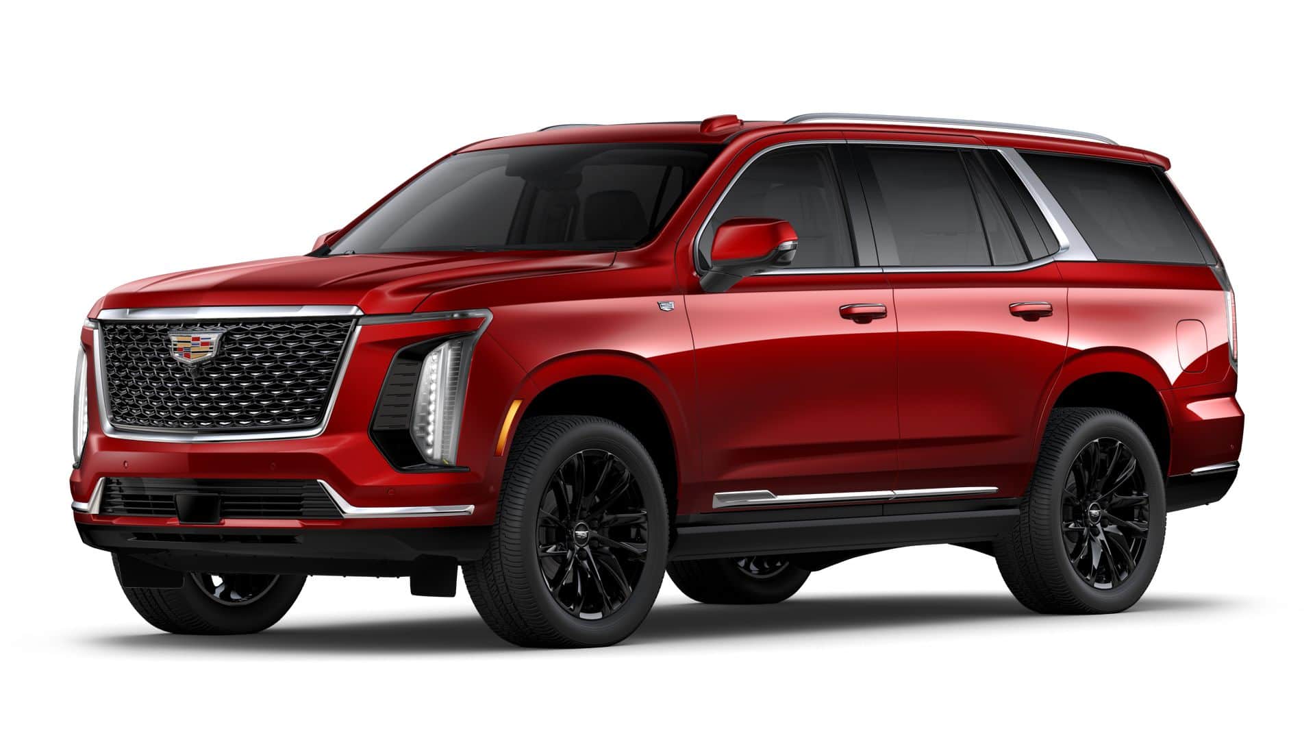 2025 Cadillac Escalade Vehicle Photo in TAMPA, FL 33612-3404