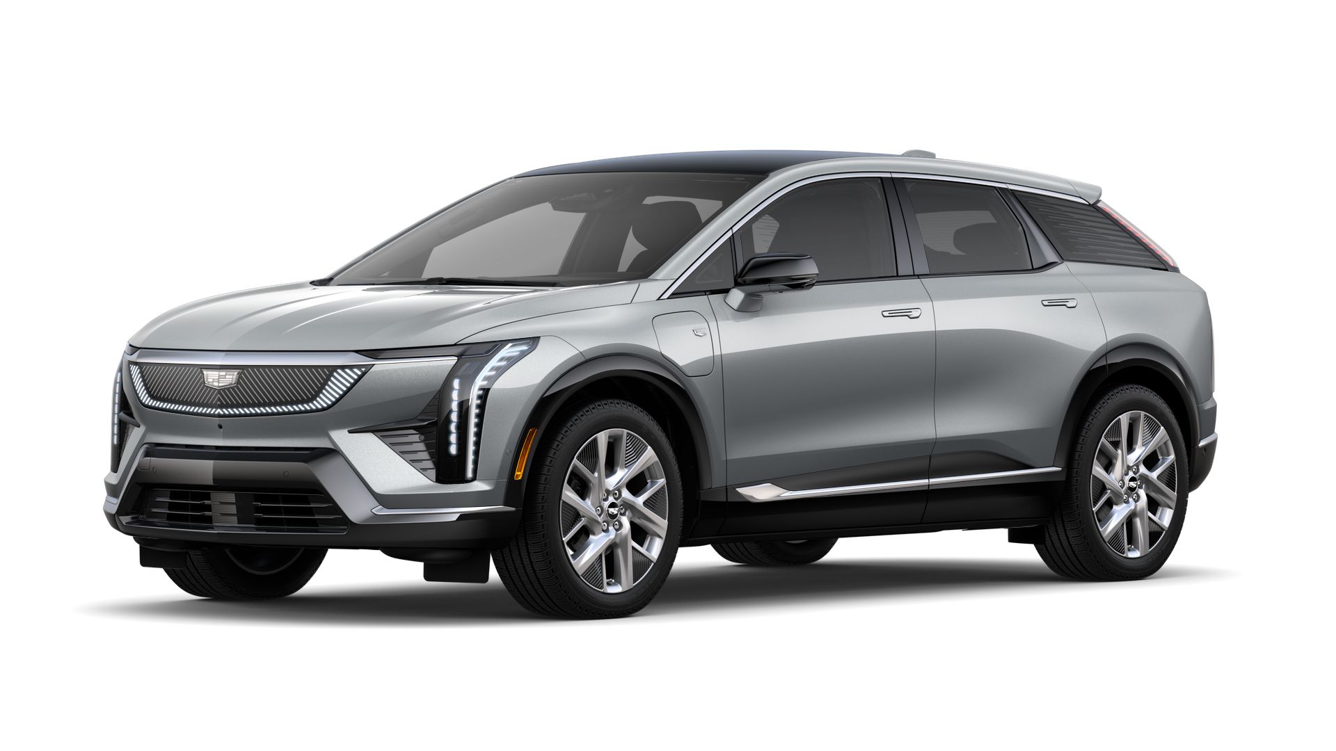 2025 Cadillac OPTIQ Vehicle Photo in TAMPA, FL 33612-3404