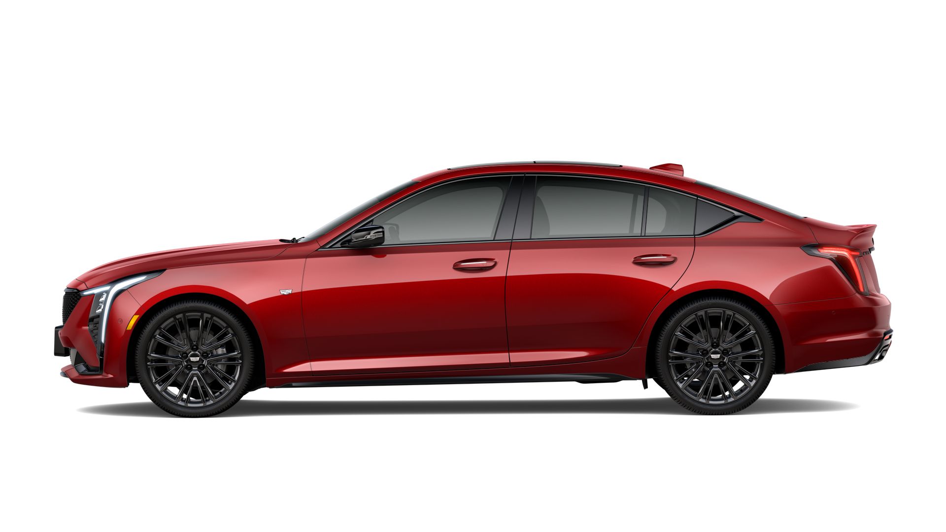 2025 Cadillac CT5 Vehicle Photo in CORPUS CHRISTI, TX 78412-4902