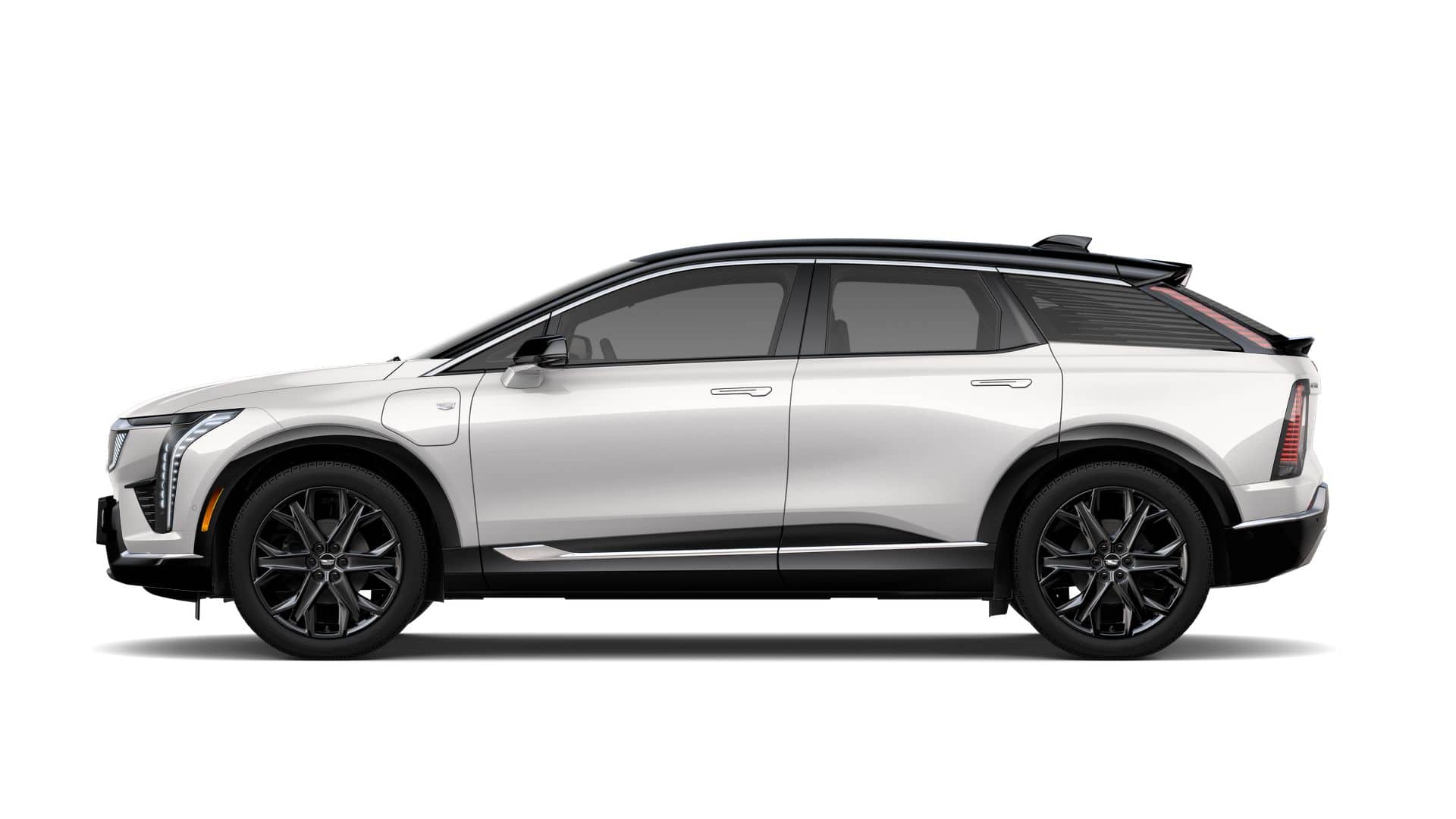 2025 Cadillac OPTIQ Vehicle Photo in SMITHTOWN, NY 11787-5023