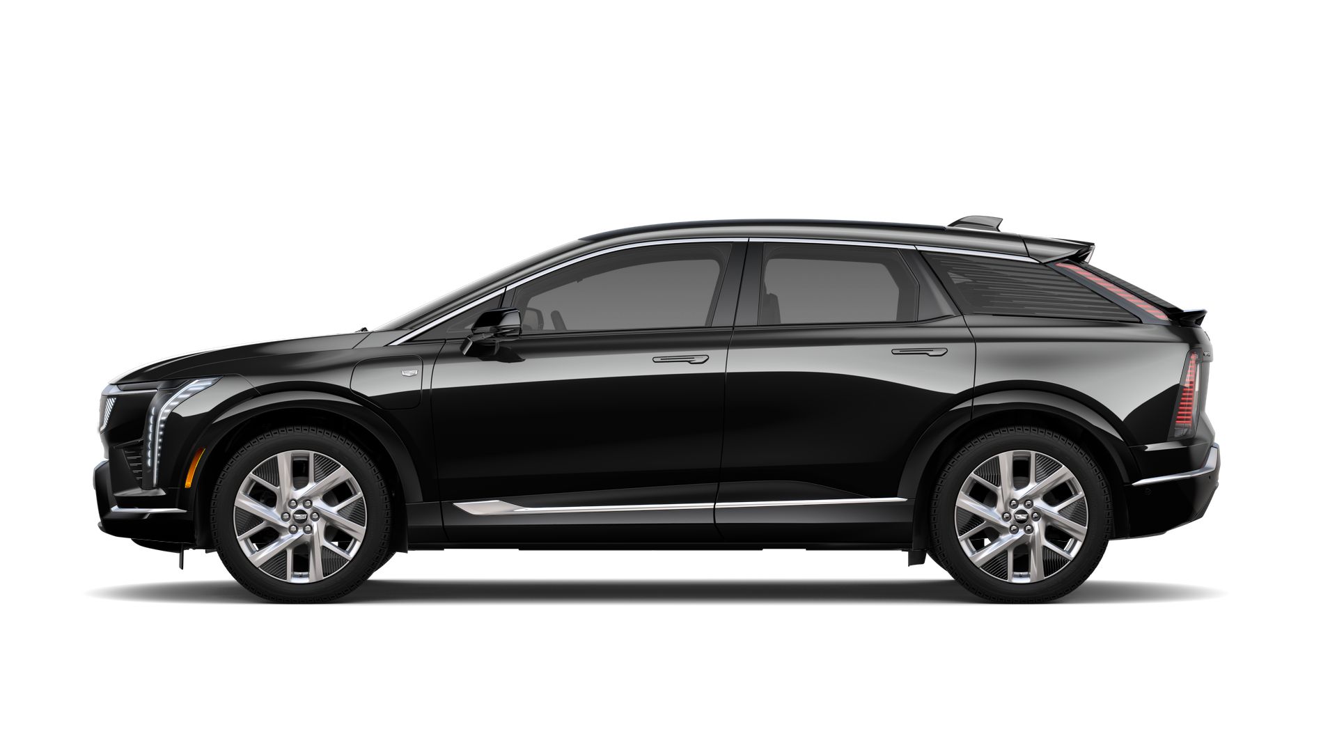 2025 Cadillac OPTIQ Vehicle Photo in TAMPA, FL 33612-3404
