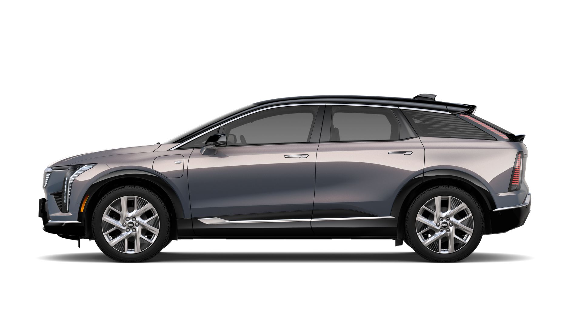 2025 Cadillac OPTIQ Vehicle Photo in SMITHTOWN, NY 11787-5023