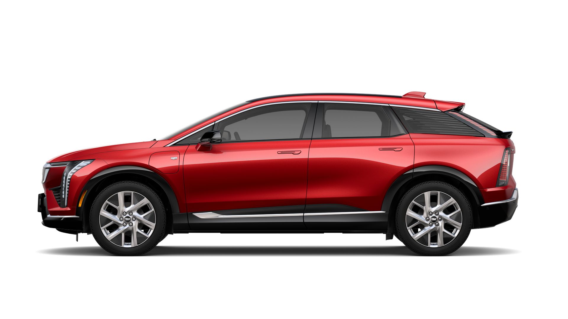 2025 Cadillac OPTIQ Vehicle Photo in TAMPA, FL 33612-3404