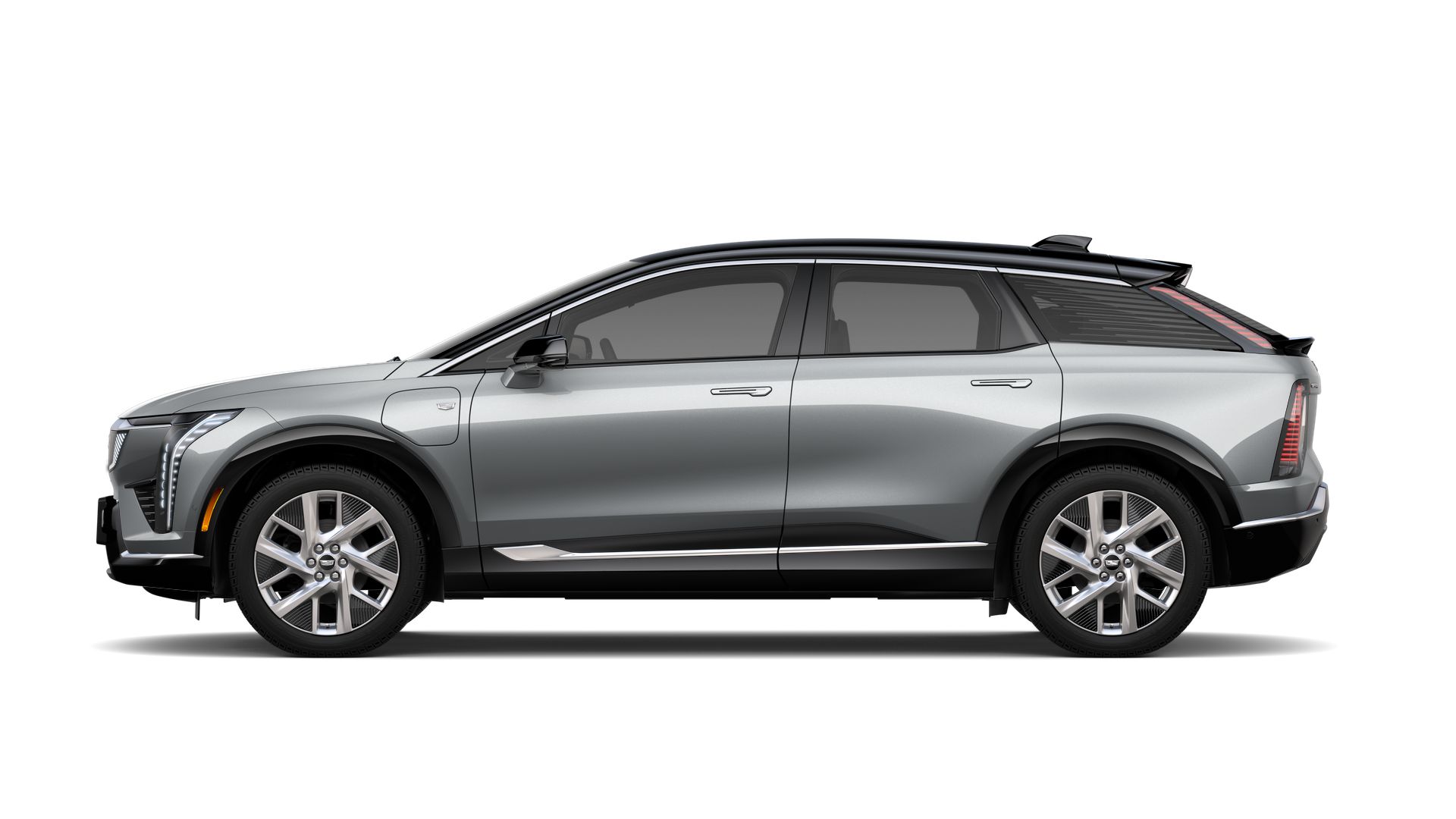 2025 Cadillac OPTIQ Vehicle Photo in SMITHTOWN, NY 11787-5023