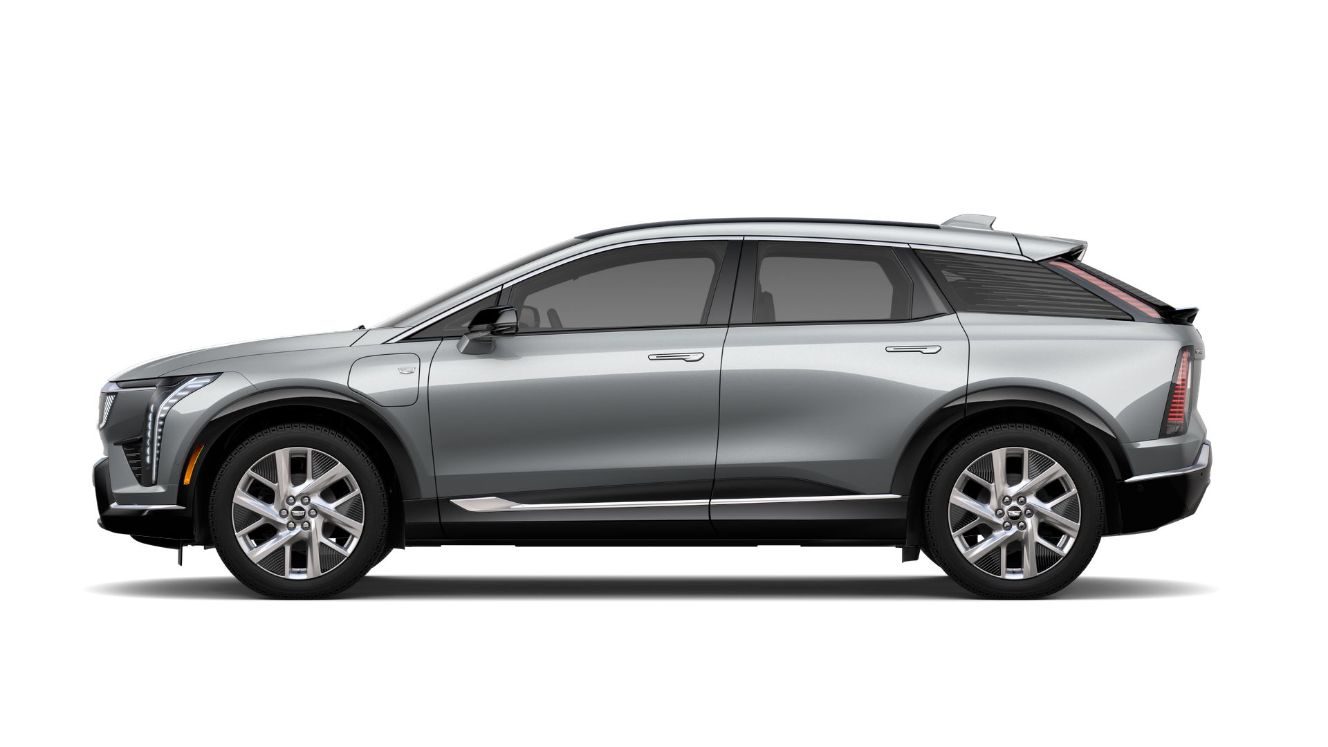 2025 Cadillac OPTIQ Vehicle Photo in TAMPA, FL 33612-3404