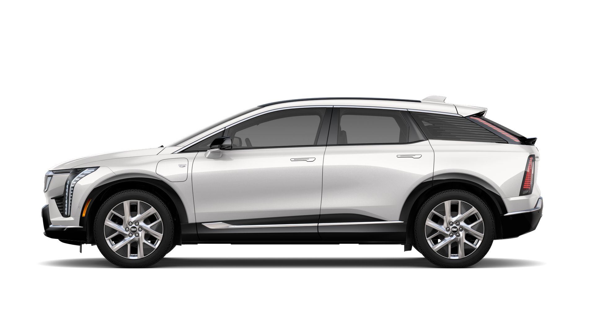 2025 Cadillac OPTIQ Vehicle Photo in TAMPA, FL 33612-3404