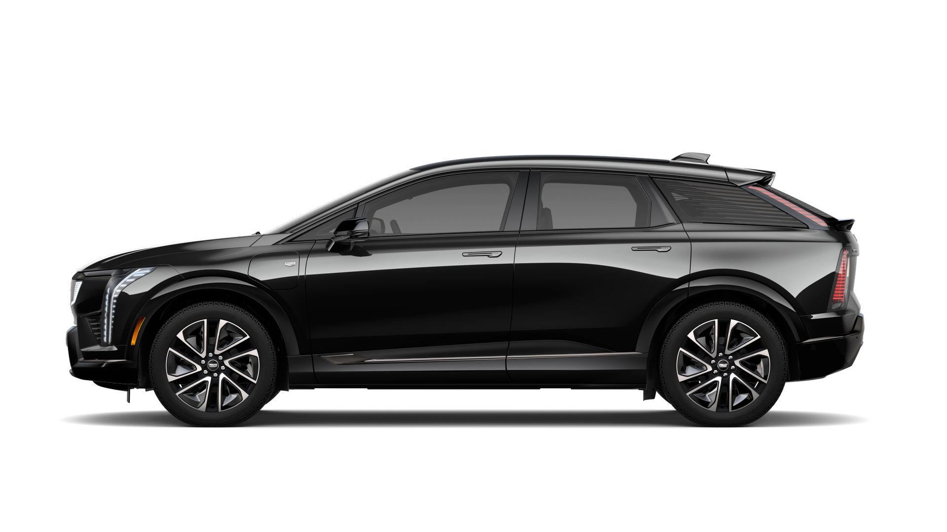 2025 Cadillac OPTIQ Vehicle Photo in TAMPA, FL 33612-3404