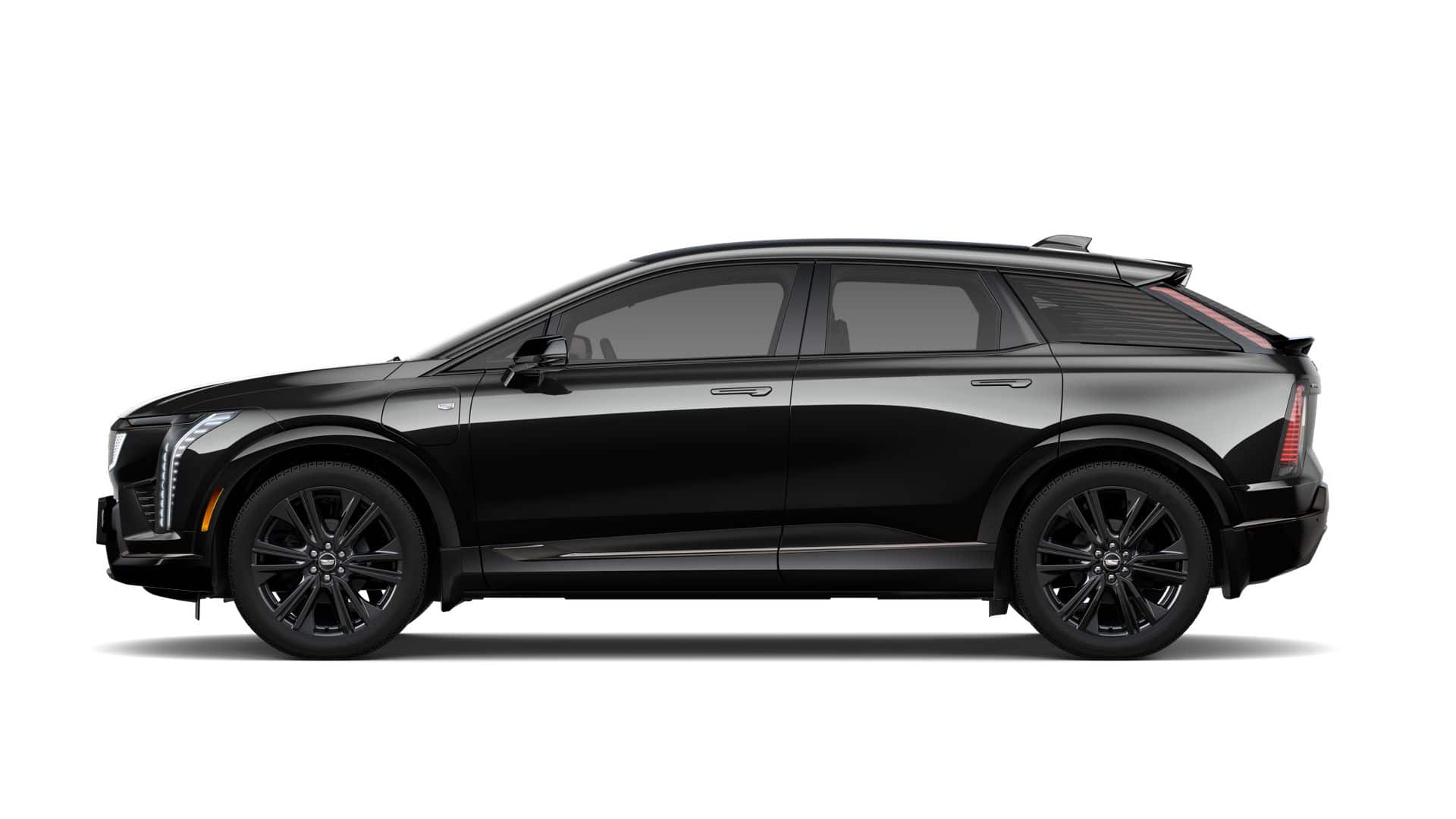 2025 Cadillac OPTIQ Vehicle Photo in OSHKOSH, WI 54904-7811
