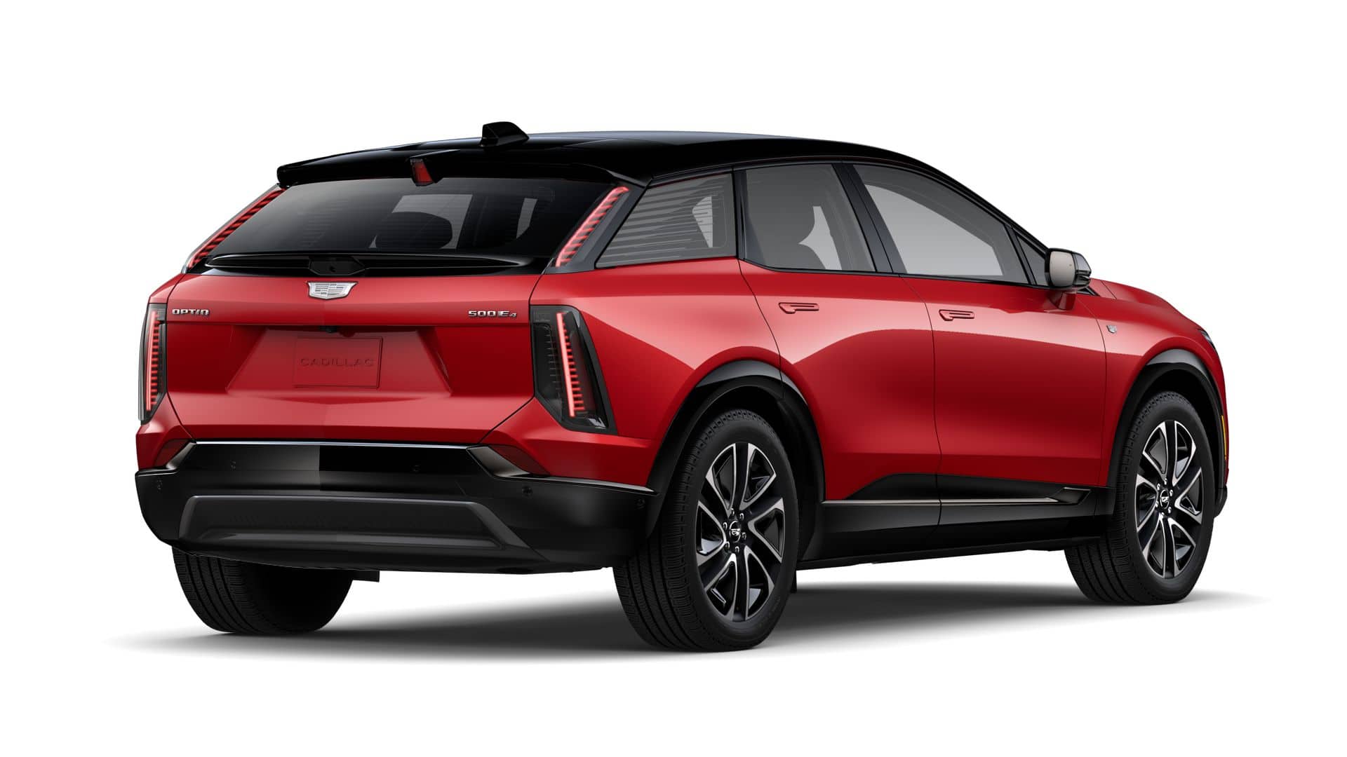 2025 Cadillac OPTIQ Vehicle Photo in TAMPA, FL 33612-3404