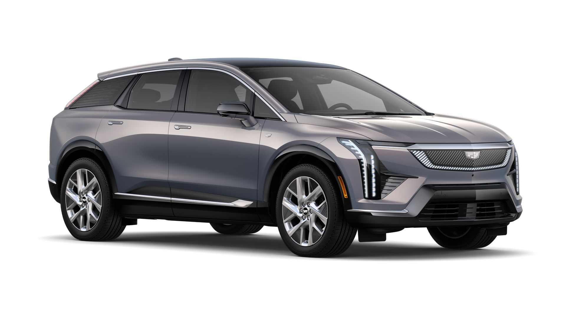 2025 Cadillac OPTIQ Vehicle Photo in TAMPA, FL 33612-3404