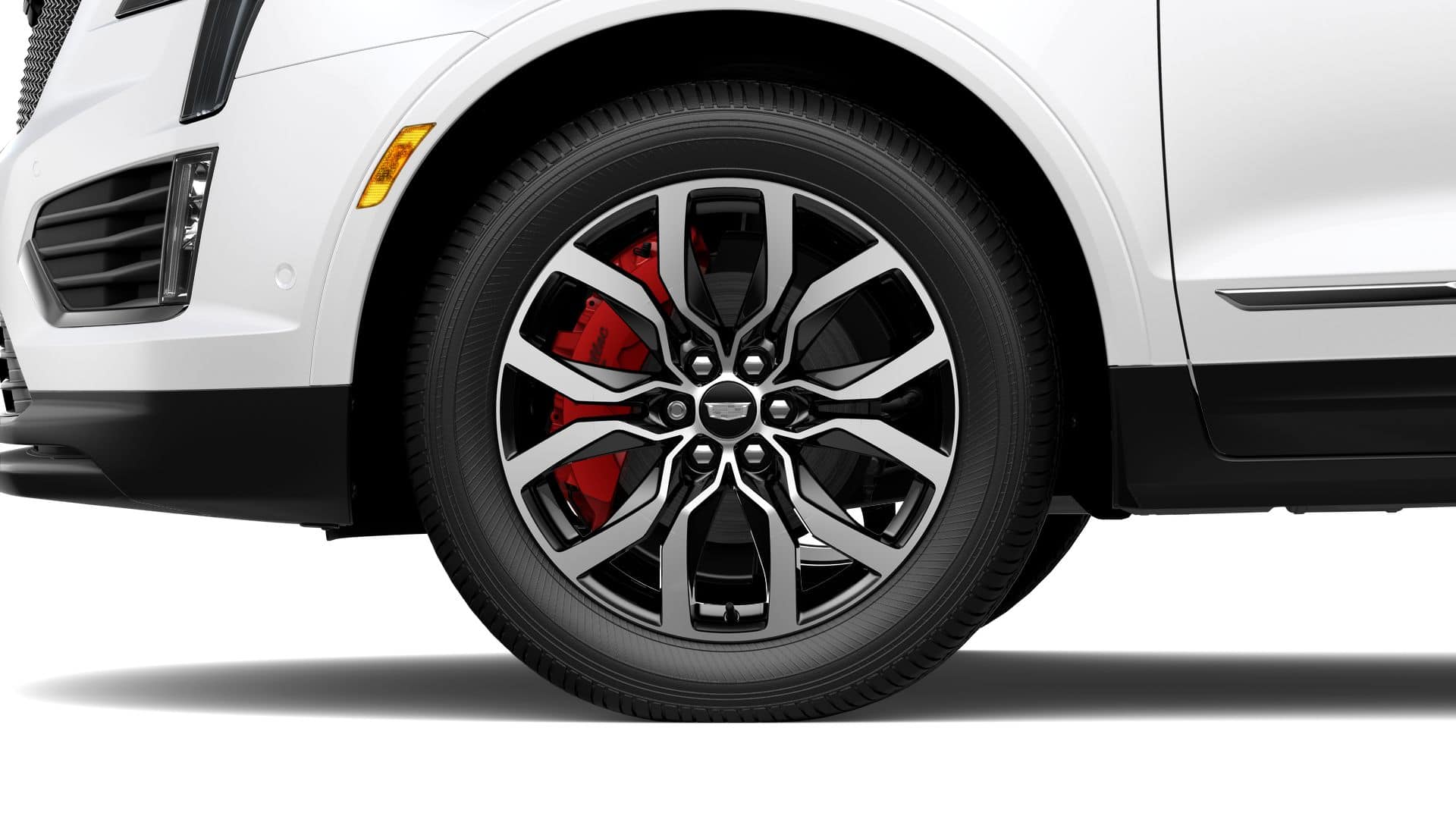 2025 Cadillac XT5 Vehicle Photo in APPLETON, WI 54914-4656