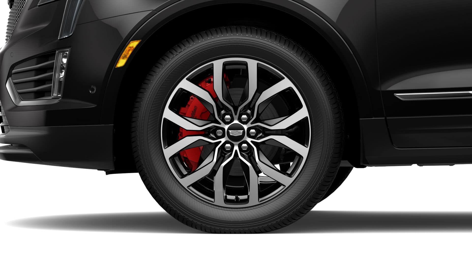 2025 Cadillac XT5 Vehicle Photo in APPLETON, WI 54914-4656