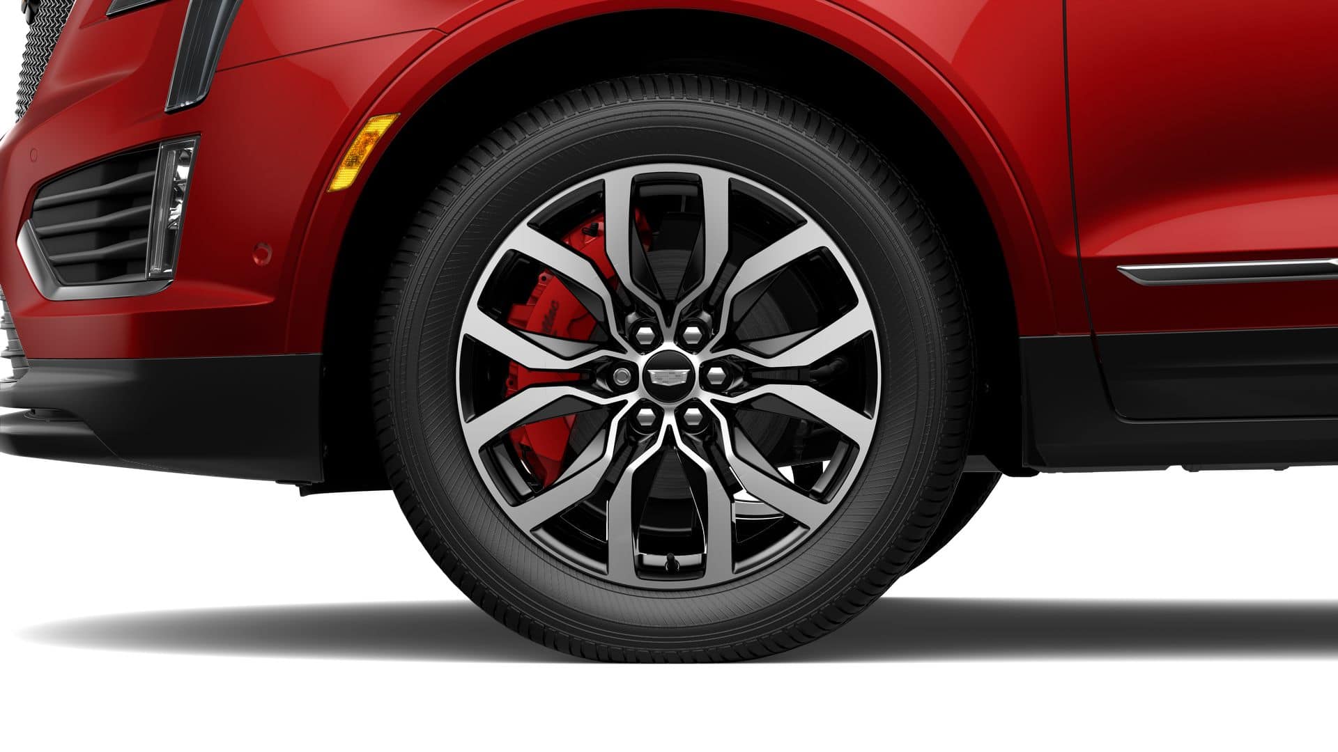 2025 Cadillac XT5 Vehicle Photo in SMITHTOWN, NY 11787-5023