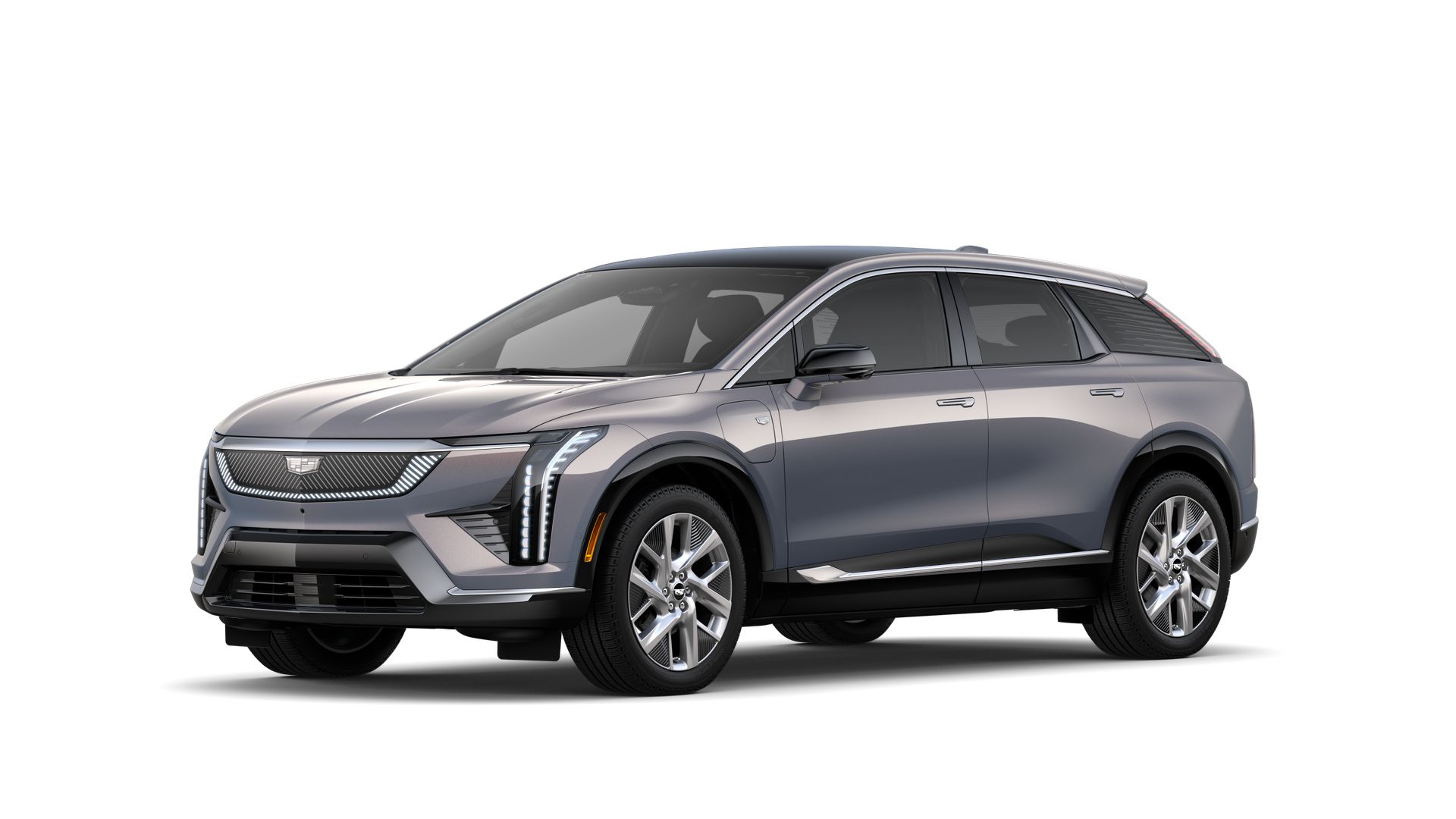 2025 Cadillac OPTIQ Vehicle Photo in TAMPA, FL 33612-3404