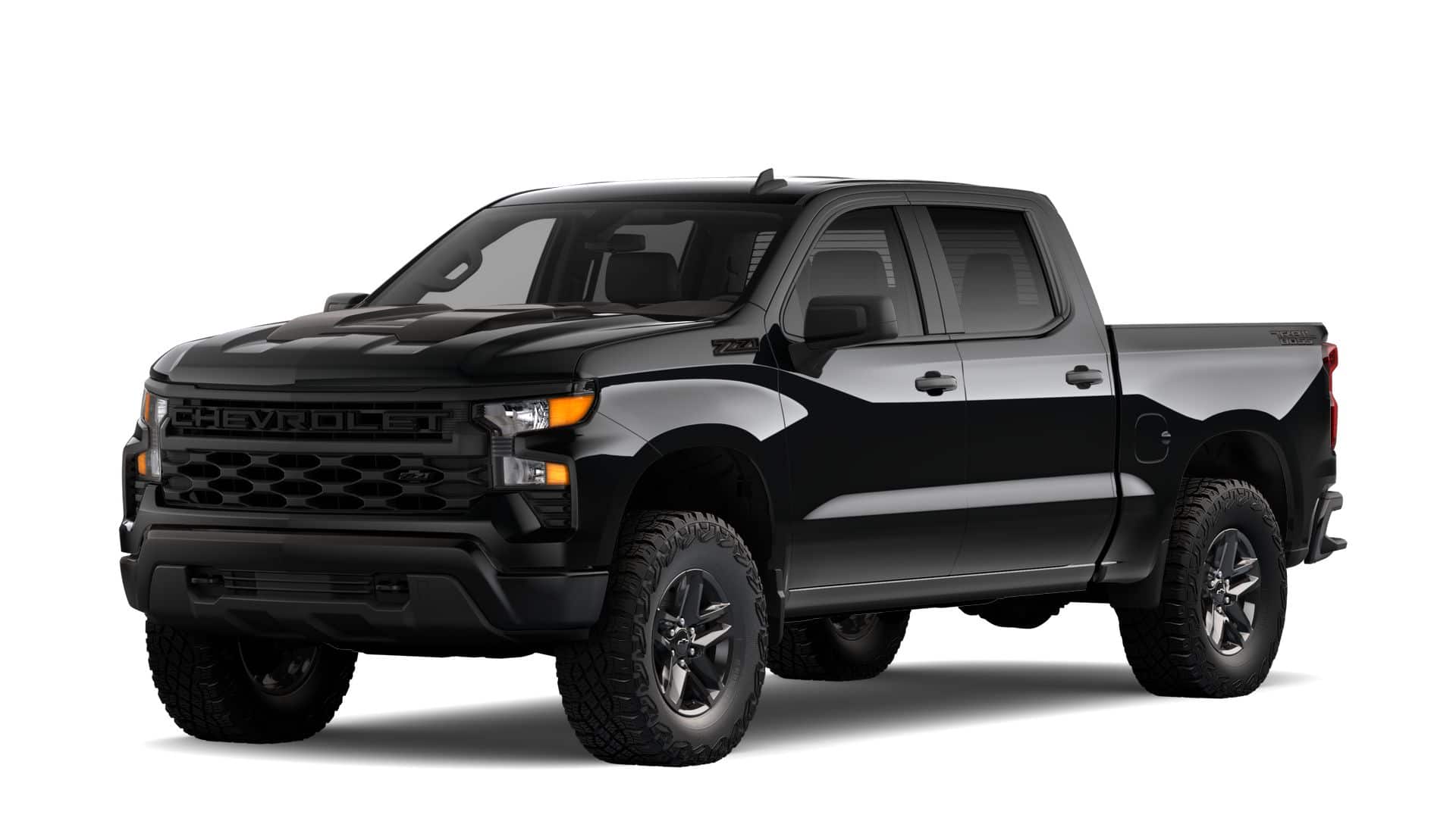 2025 Chevrolet Silverado 1500 Vehicle Photo in MARION, NC 28752-6372