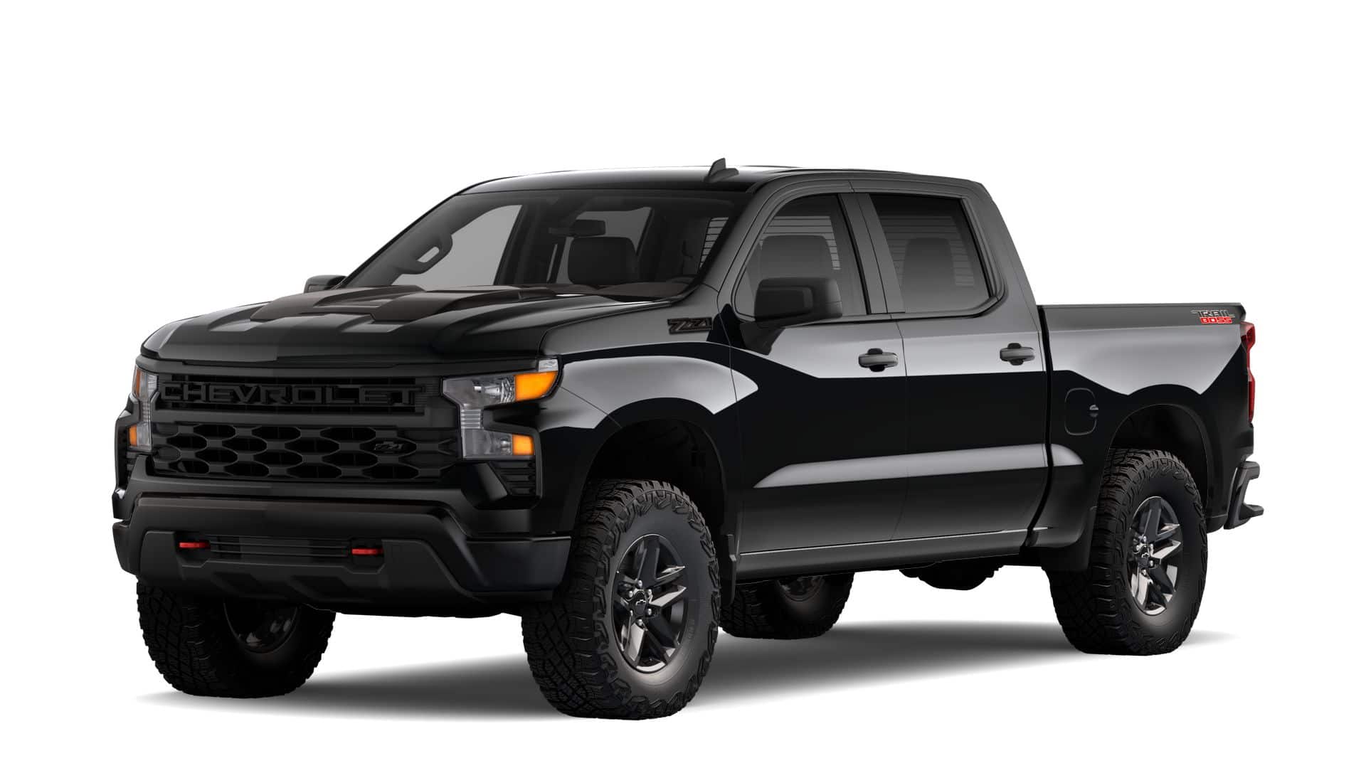 2025 Chevrolet Silverado 1500 Vehicle Photo in MESA, AZ 85206-4395