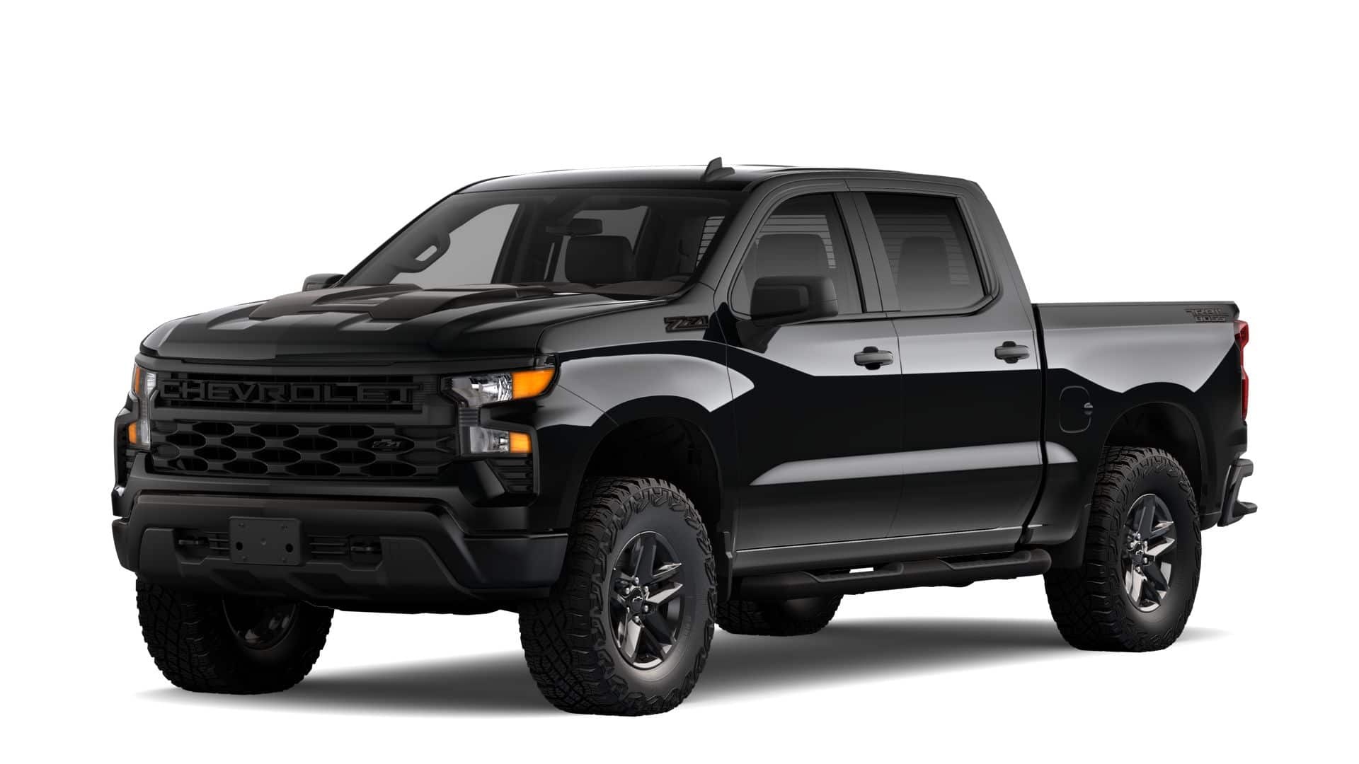 2025 Chevrolet Silverado 1500 Vehicle Photo in HOUSTON, TX 77034-5009
