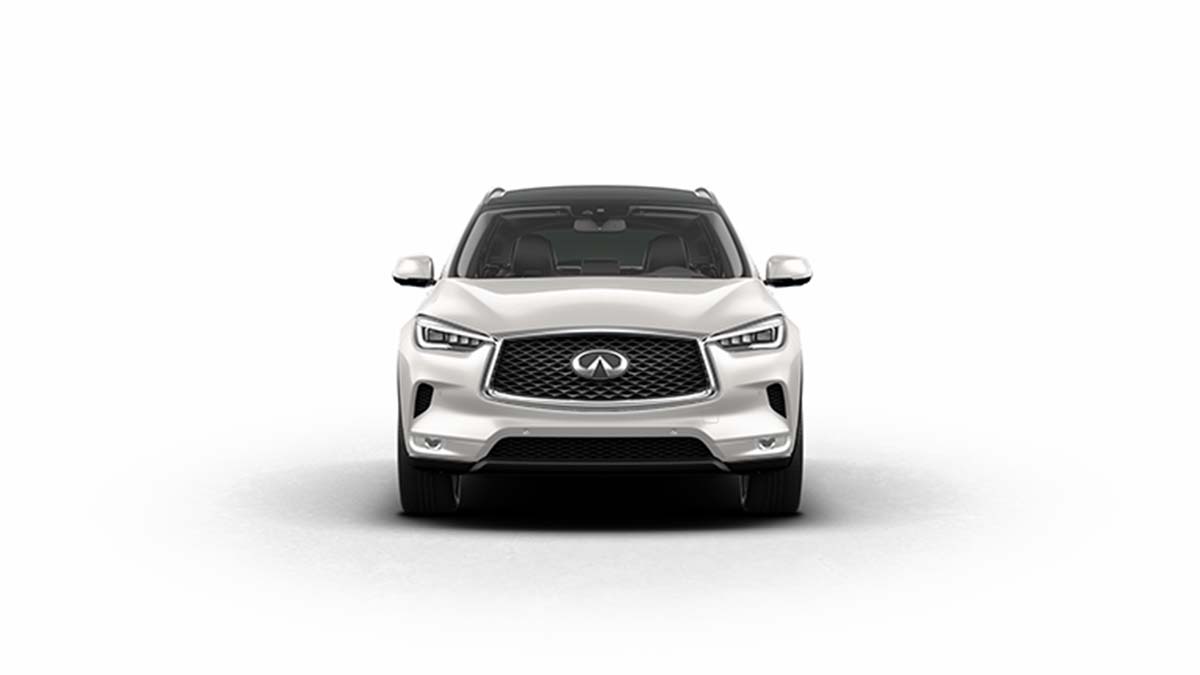 2022 INFINITI QX50 Vehicle Photo in San Antonio, TX 78230