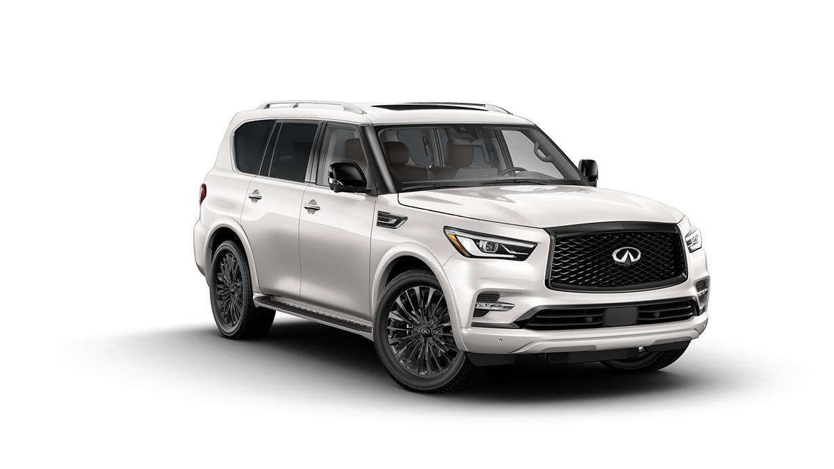 2022 INFINITI QX80 Vehicle Photo in Willow Grove, PA 19090