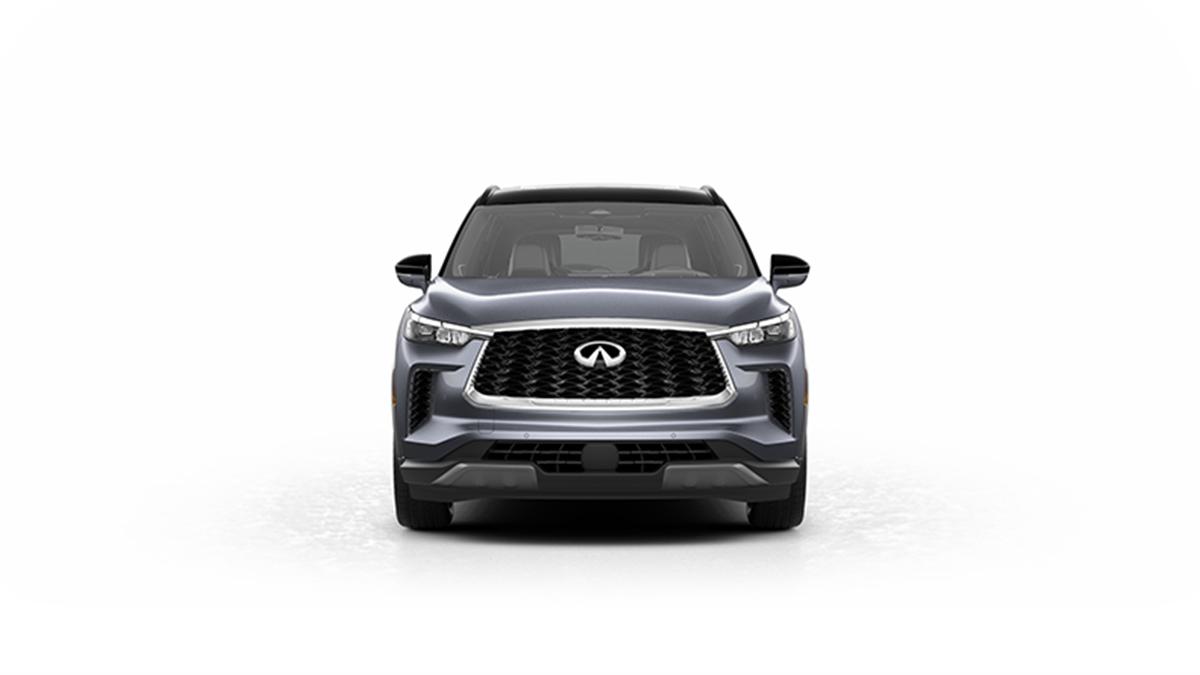 2023 INFINITI QX60 Vehicle Photo in San Antonio, TX 78230