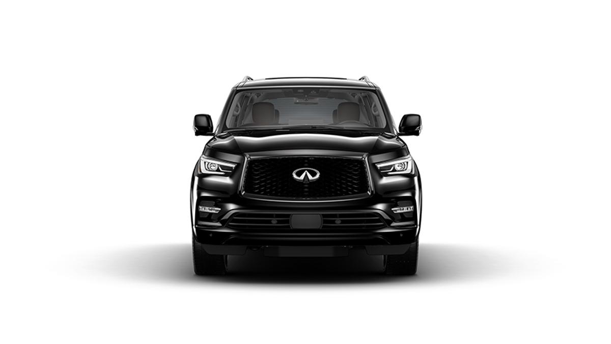 2023 INFINITI QX80 Vehicle Photo in San Antonio, TX 78230