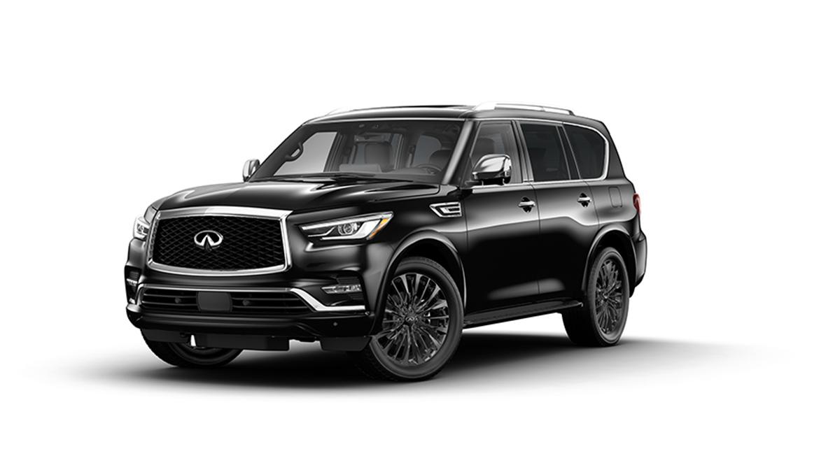 2023 INFINITI QX80 Vehicle Photo in San Antonio, TX 78230