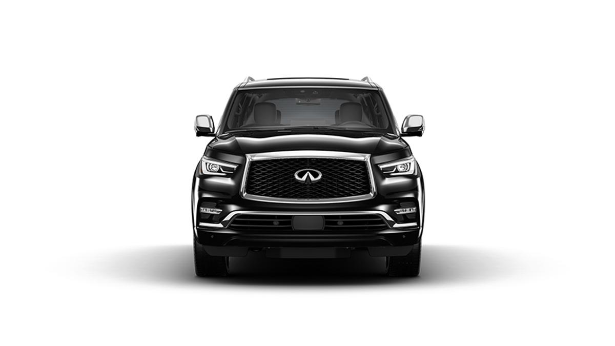 2023 INFINITI QX80 Vehicle Photo in San Antonio, TX 78230