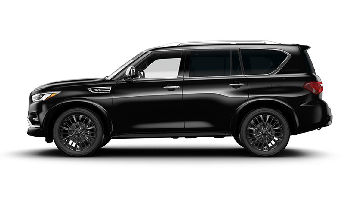 2023 INFINITI QX80 Vehicle Photo in San Antonio, TX 78230