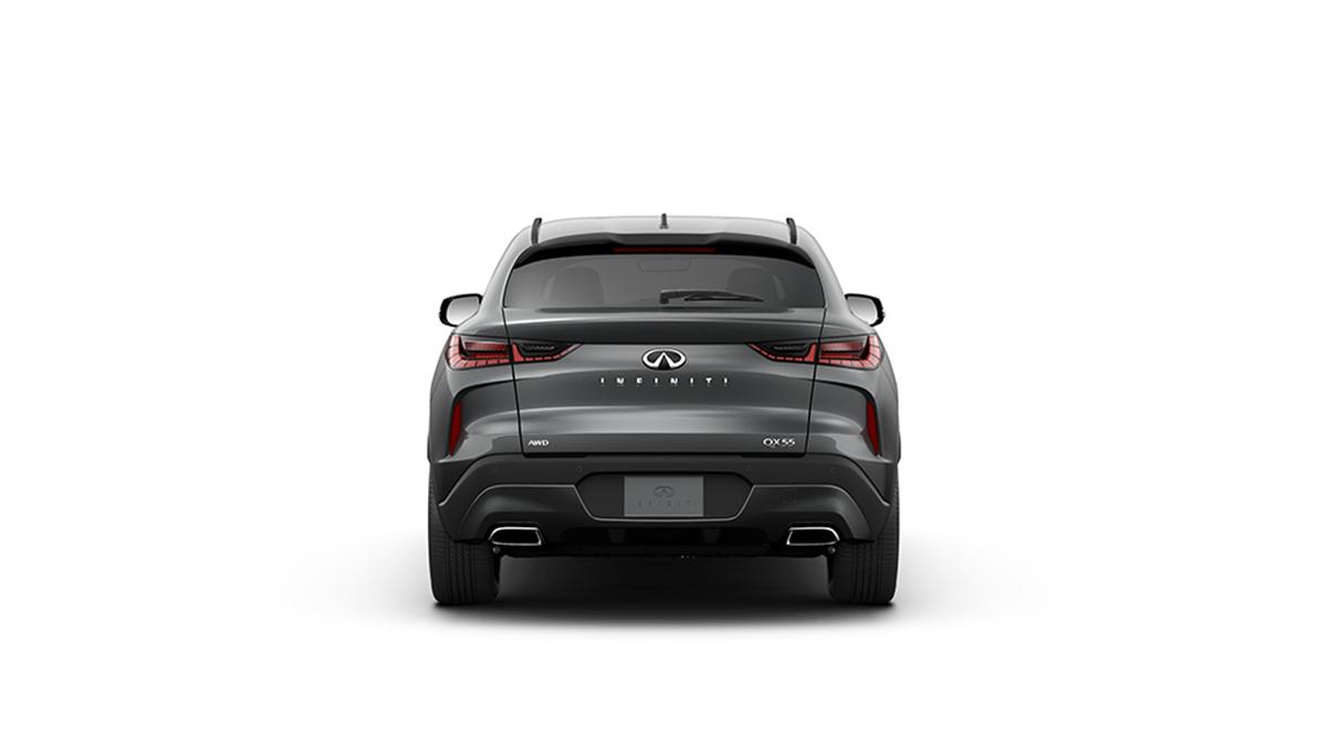 2024 INFINITI QX55 Vehicle Photo in Willow Grove, PA 19090