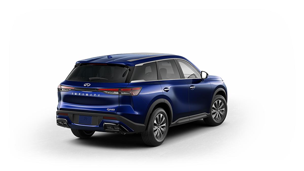2024 INFINITI QX60 Vehicle Photo in Willow Grove, PA 19090