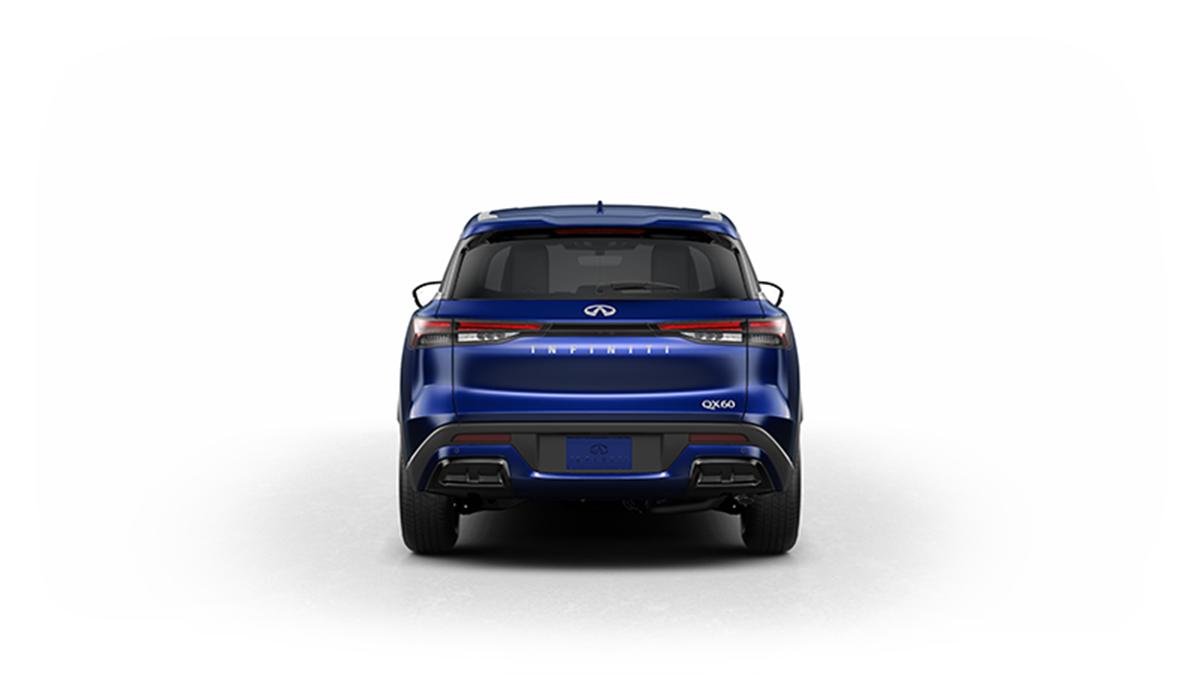 2024 INFINITI QX60 Vehicle Photo in Willow Grove, PA 19090