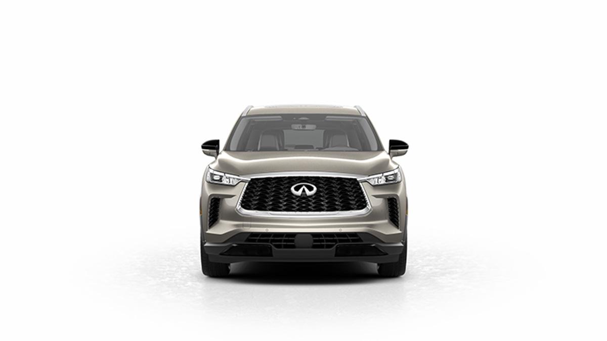 2024 INFINITI QX60 Vehicle Photo in Willow Grove, PA 19090