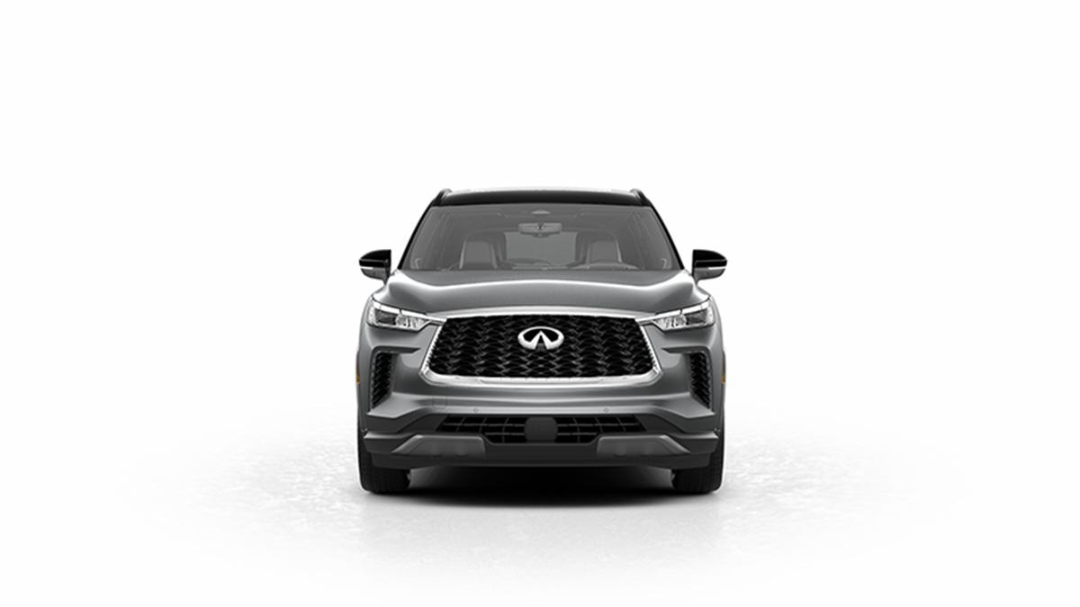 2024 INFINITI QX60 Vehicle Photo in Appleton, WI 54913