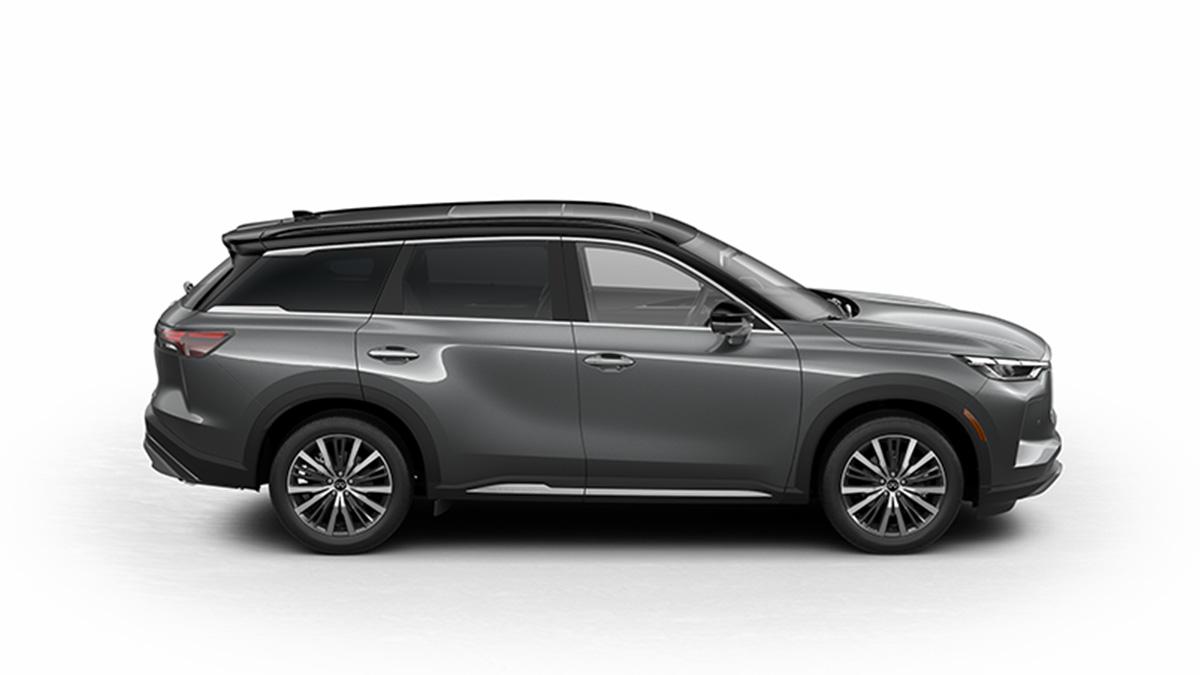 2024 INFINITI QX60 Vehicle Photo in Appleton, WI 54913