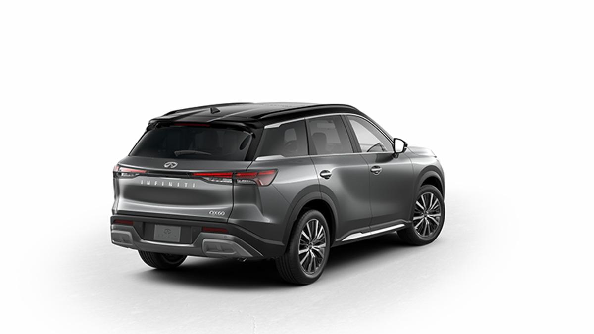2024 INFINITI QX60 Vehicle Photo in Appleton, WI 54913