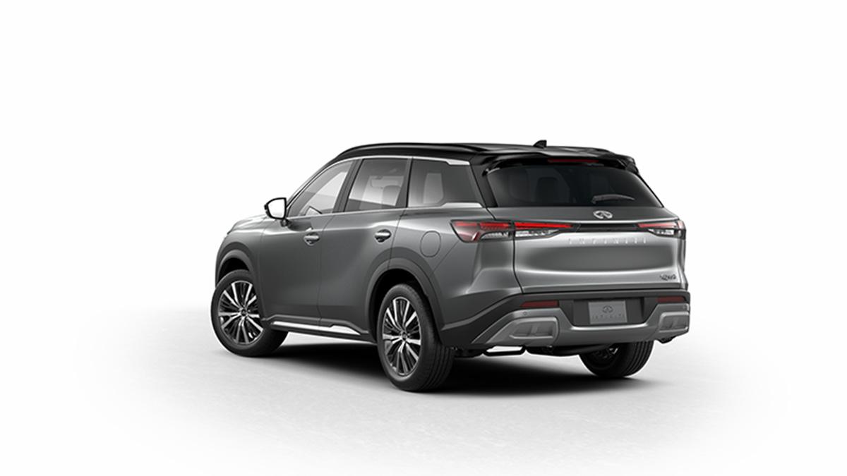 2024 INFINITI QX60 Vehicle Photo in Appleton, WI 54913