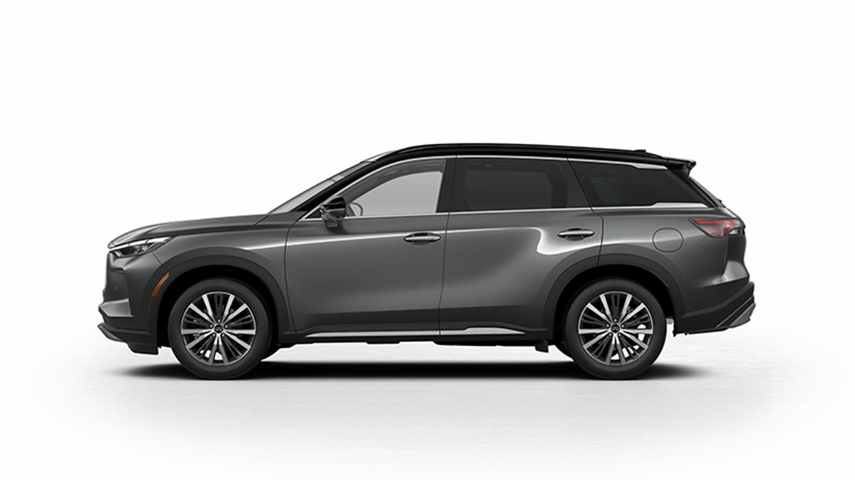 2024 INFINITI QX60 Vehicle Photo in Appleton, WI 54913