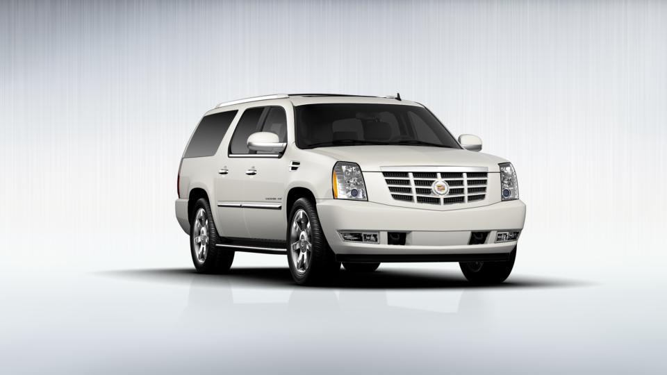 2013 Cadillac Escalade ESV Vehicle Photo in DELRAY BEACH, FL 33483-3294