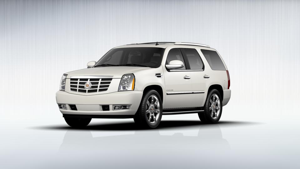 2013 Cadillac Escalade Vehicle Photo in Akron, OH 44320