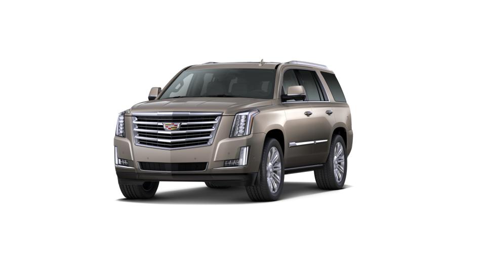 2018 Cadillac Escalade Vehicle Photo in Kaukauna, WI 54130