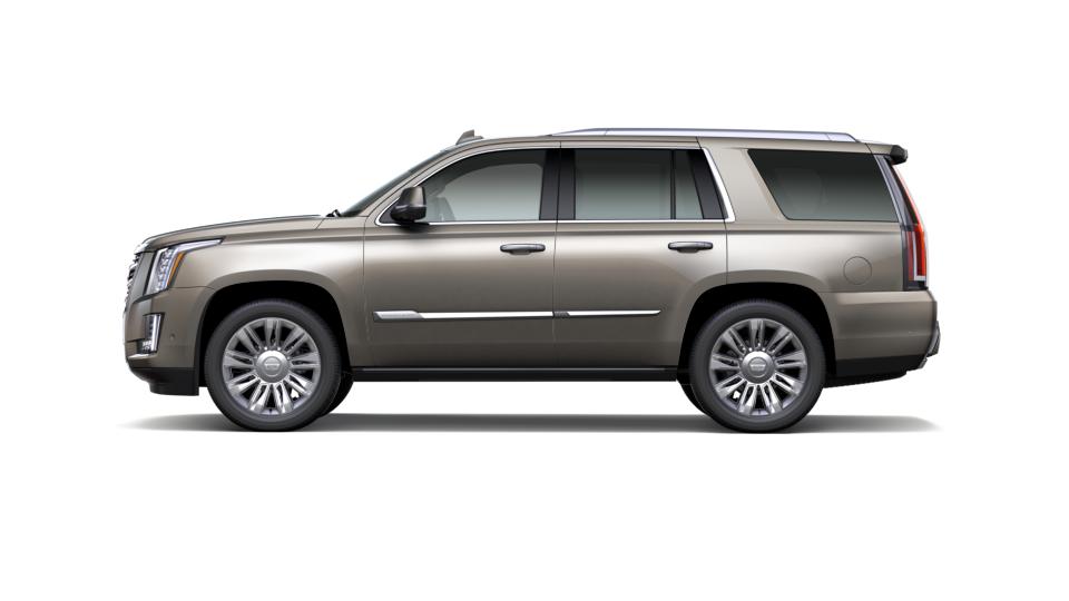 2018 Cadillac Escalade Vehicle Photo in Kaukauna, WI 54130