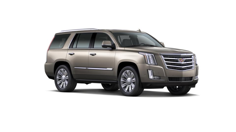2018 Cadillac Escalade Vehicle Photo in Kaukauna, WI 54130