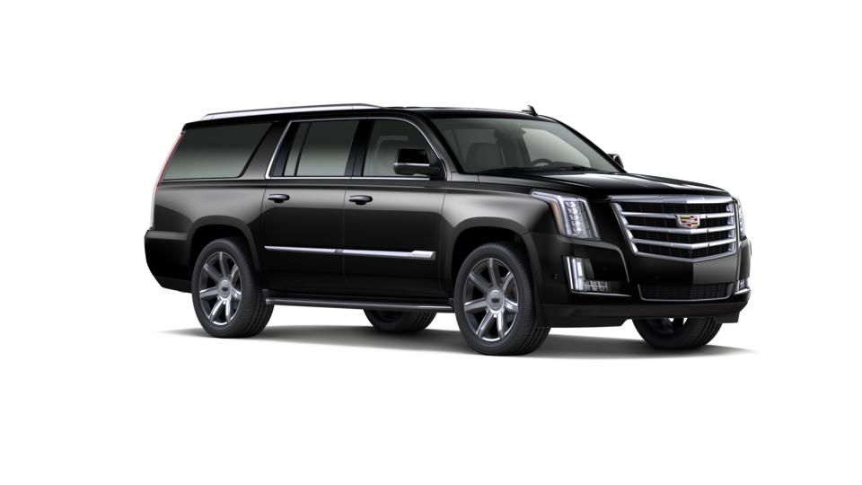 2019 Cadillac Escalade ESV Vehicle Photo in Akron, OH 44320