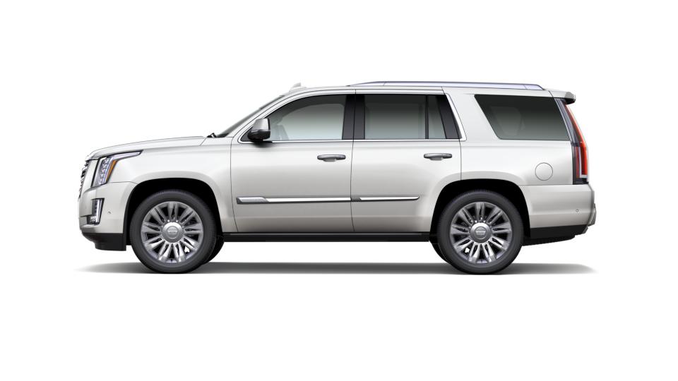 2019 Cadillac Escalade Vehicle Photo in MARION, NC 28752-6372