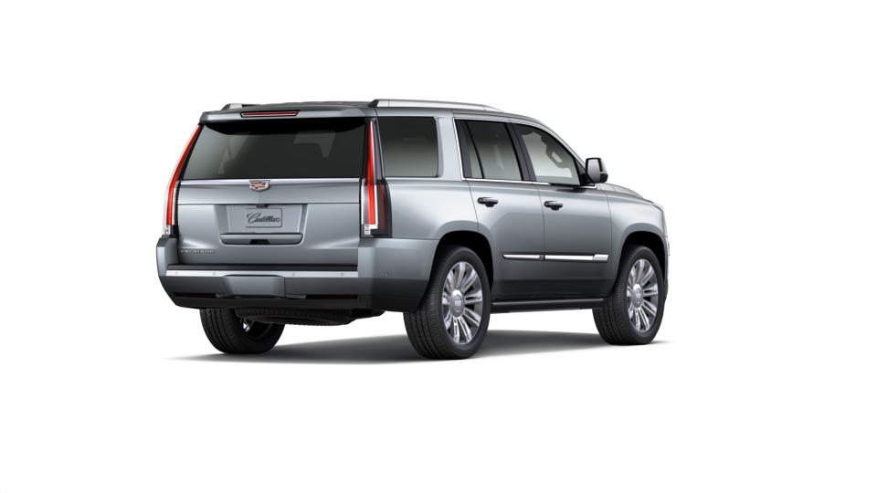 2019 Cadillac Escalade Vehicle Photo in Kansas City, MO 64114