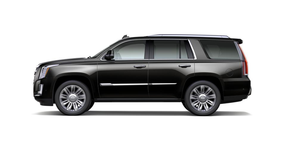 2019 Cadillac Escalade Vehicle Photo in APPLETON, WI 54914-4656