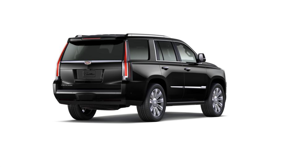 2019 Cadillac Escalade Vehicle Photo in APPLETON, WI 54914-4656