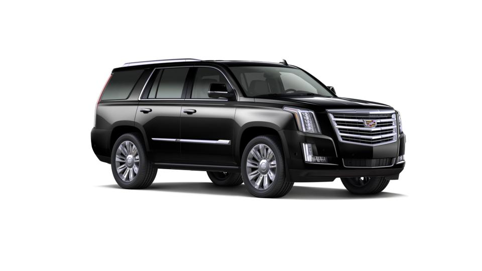 2019 Cadillac Escalade Vehicle Photo in APPLETON, WI 54914-4656